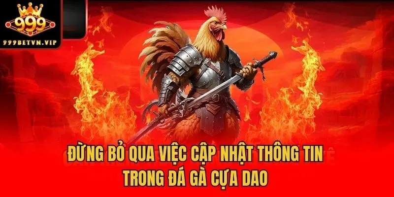 Đừng bỏ qua việc cập nhật thông tin trong đá gà cựa dao