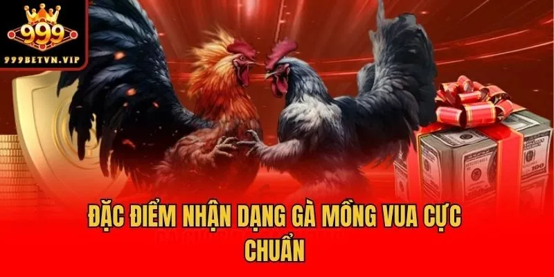Đặc điểm nhận dạng gà Mồng Vua cực chuẩn