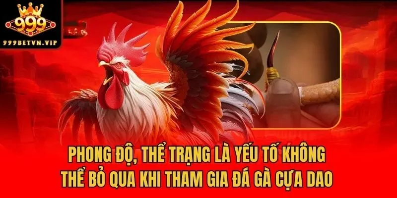 Phong độ, thể trạng là yếu tố không thể bỏ qua khi tham gia đá gà cựa dao