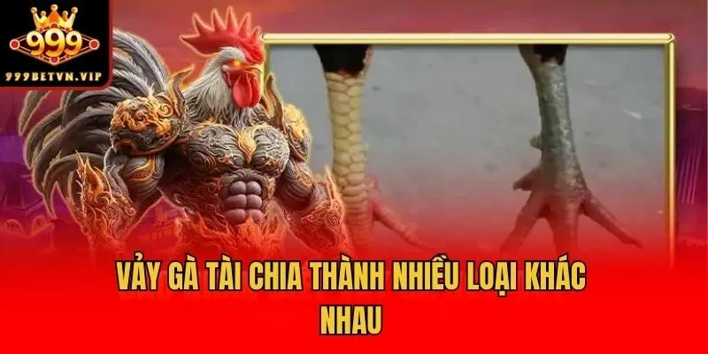 Vảy gà tài chia thành nhiều loại khác nhau